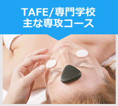 TAFE/専門学校 主な専攻コース TAFE/専門学校 主な専攻コース