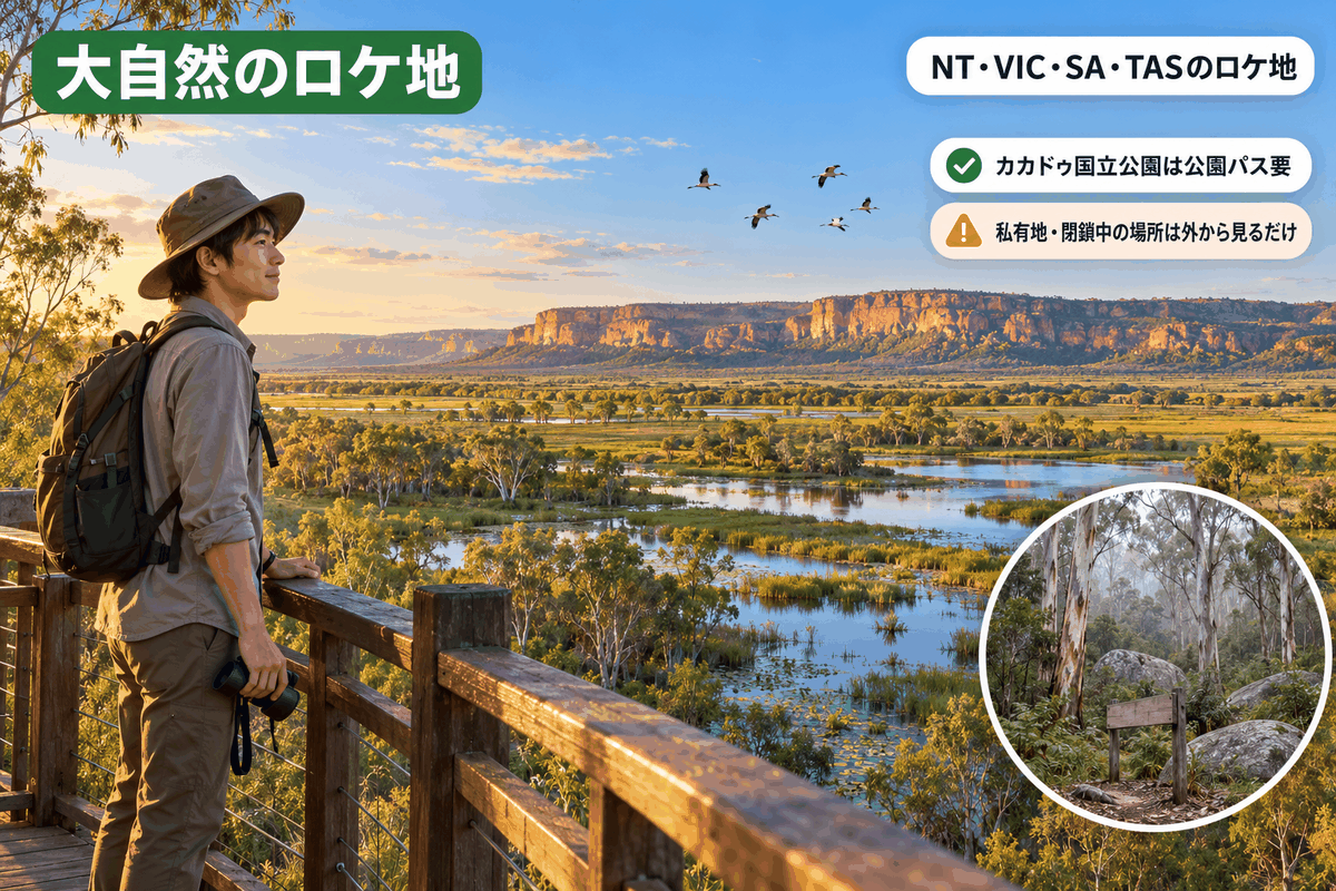 カカドゥ国立公園の展望デッキから湿地帯を眺める留学生。オーストラリア 映画ロケ地 国立公園
