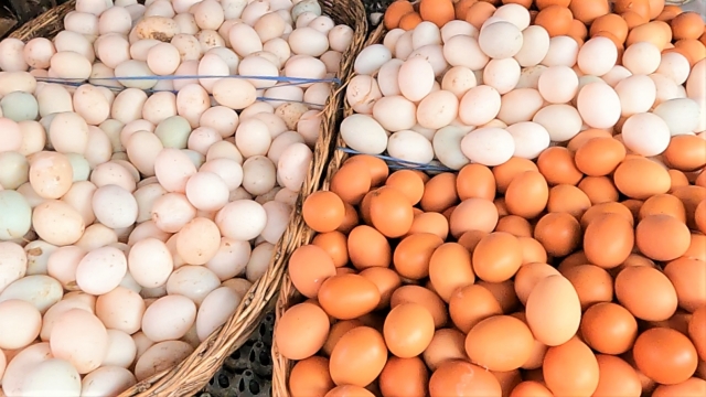 オーストラリアでは卵を生で食べる習慣はない