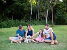 オーストラリアでトリミングを学べる学校を紹介