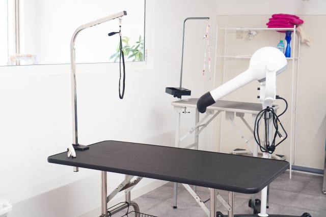 専門学校でトリミング技術を学ぶ