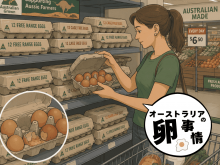 オーストラリアの卵事情を詳しく解説