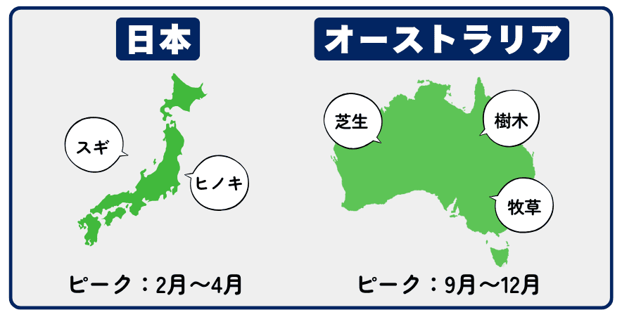 オーストラリアの花粉症・日本との比較