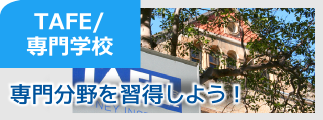 TAFE/専門学校 TAFE/専門学校
