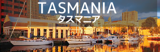 タスマニア タスマニア